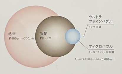 毛穴、毛髪、マイクロバブル、ウルトラファインバブルのサイズ比較図