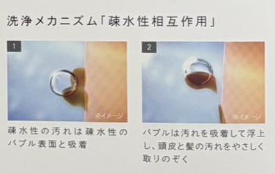 疎水性相互作用による洗浄メカニズムの説明図